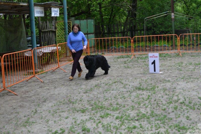 Фотография № 224744