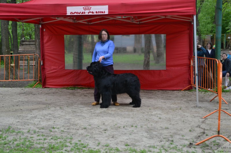 Фотография № 224745