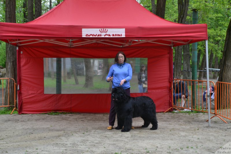 Фотография № 224746