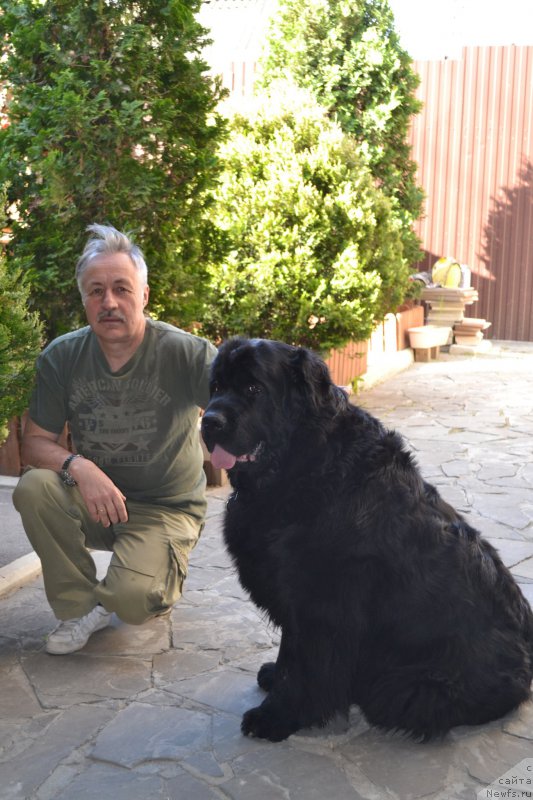 Фотография № 224749