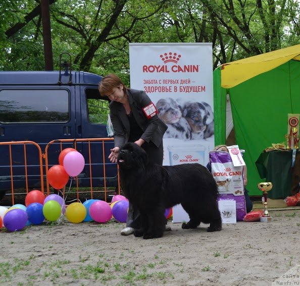 Фотография № 224760