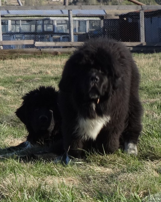 Фотография № 224773