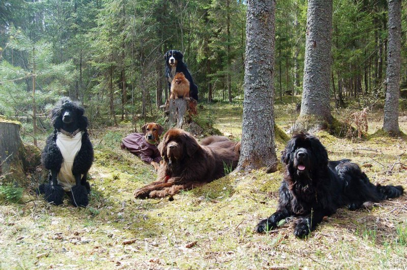 Фотография № 224778