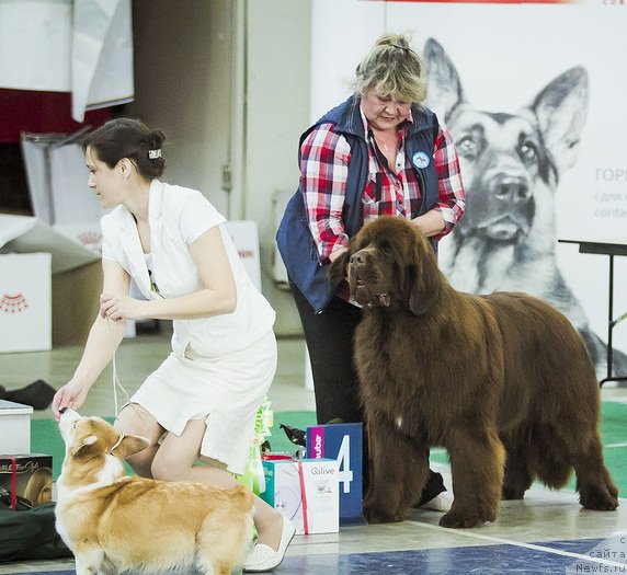 Фотография № 224781