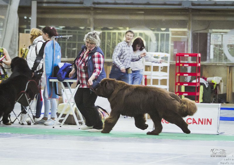 Фотография № 224782