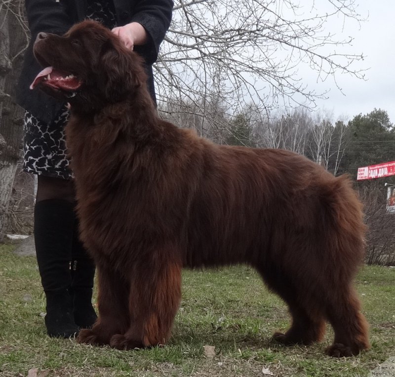 Фотография № 224785