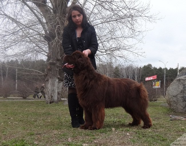 Фотография № 224786