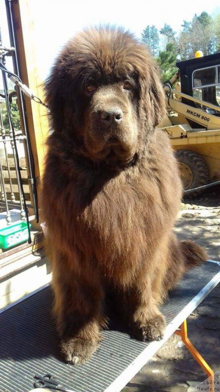 Фотография № 224807