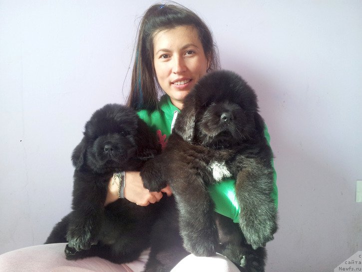 Фото: Veronika Batina (Вероника Батина)