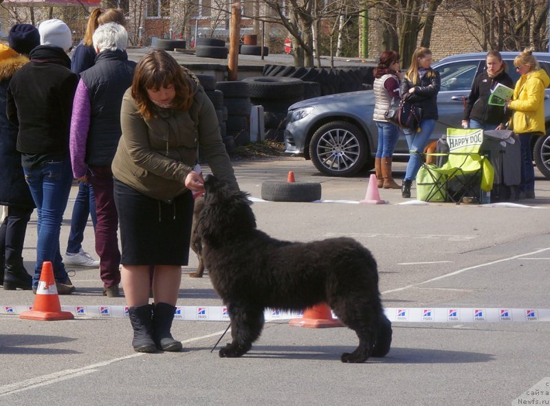 Фотография № 224847