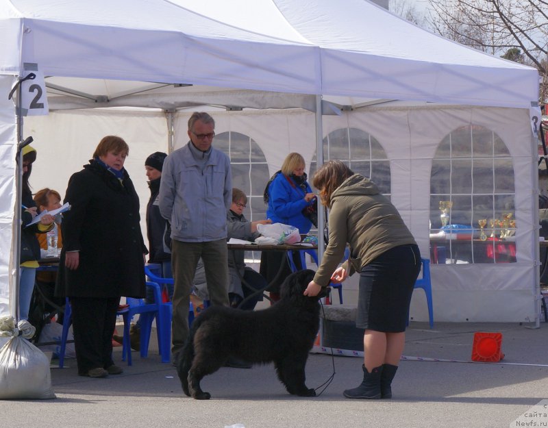 Фотография № 224848