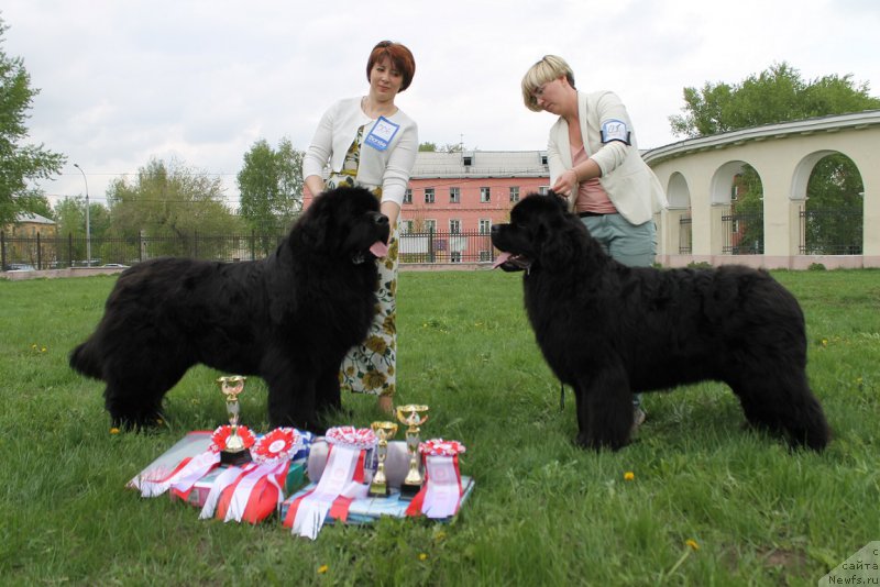 Фотография № 224856