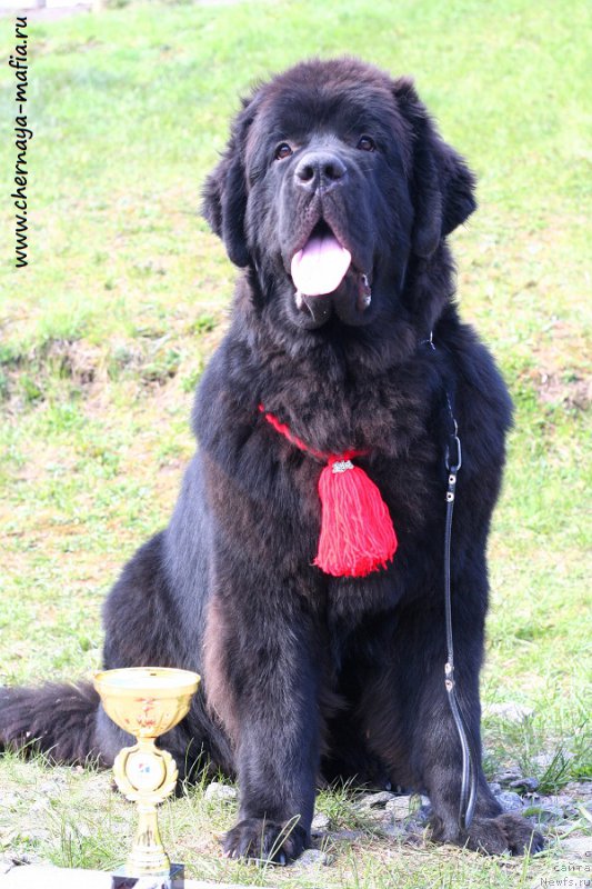 Фотография № 224899