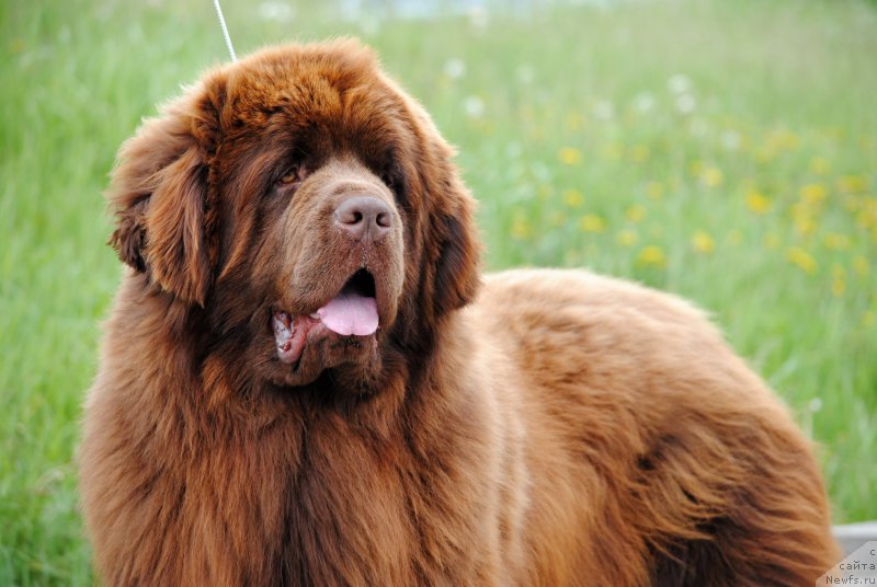 Фотография № 224916