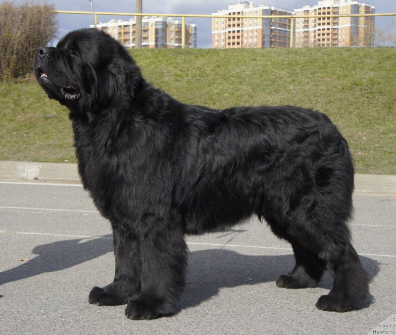 Фотография № 224927