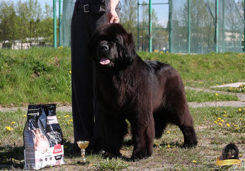 Фотография № 224929