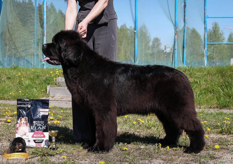 Фотография № 224930