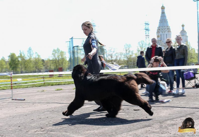 Фотография № 224931