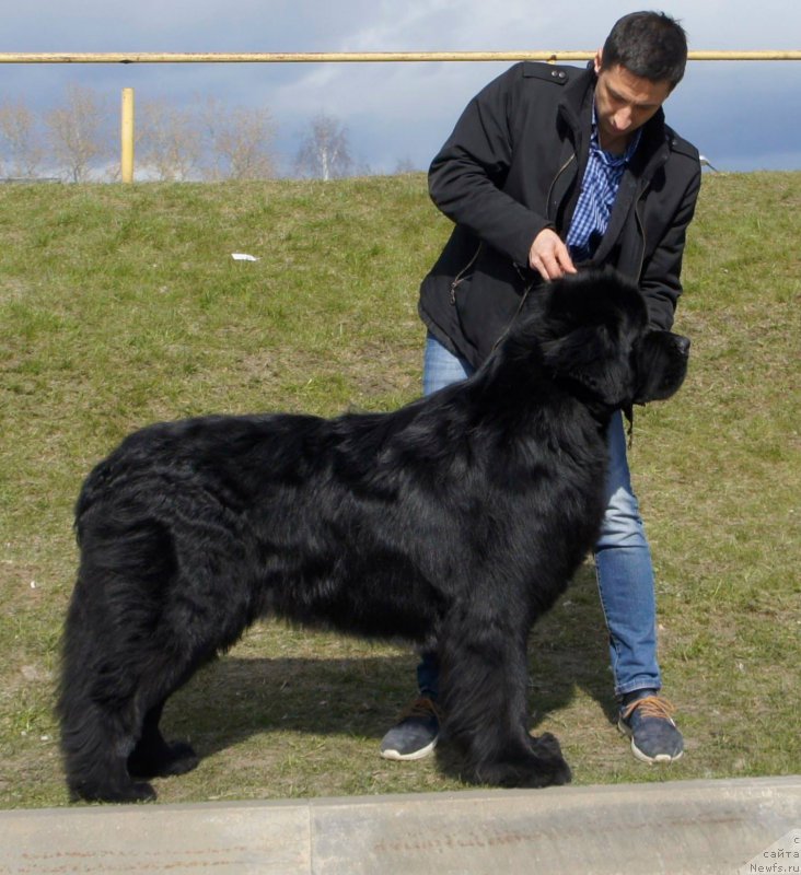 Фотография № 224932