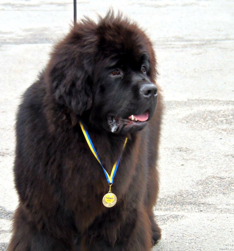 Фотография № 224933