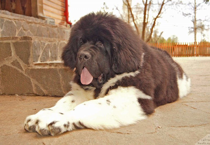 Фотография № 224942