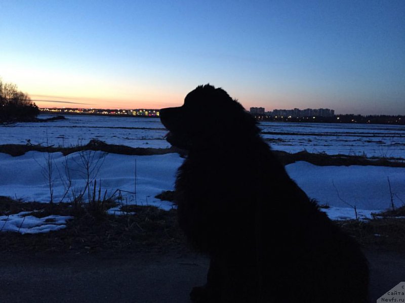 Фотография № 224948