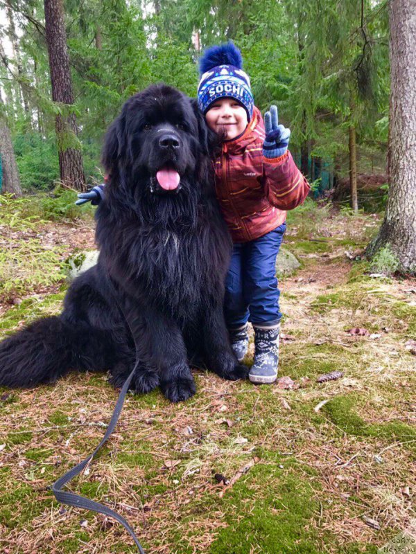 Фотография № 224949