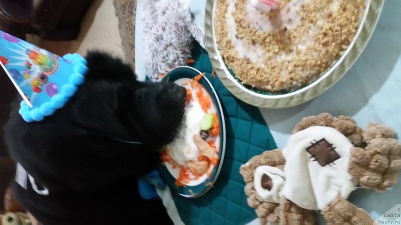 Фотография № 224963