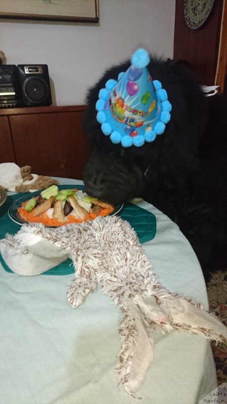 Фотография № 224964