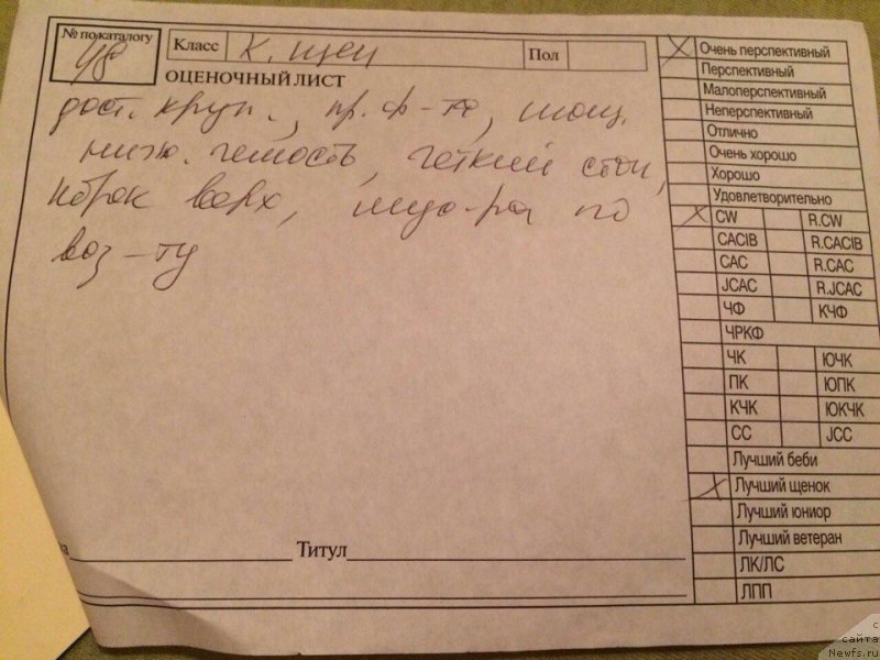 Фотография № 224981