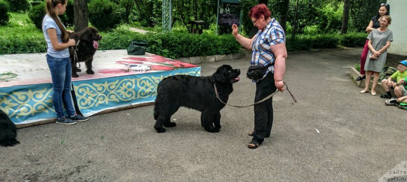 Фотография № 224986