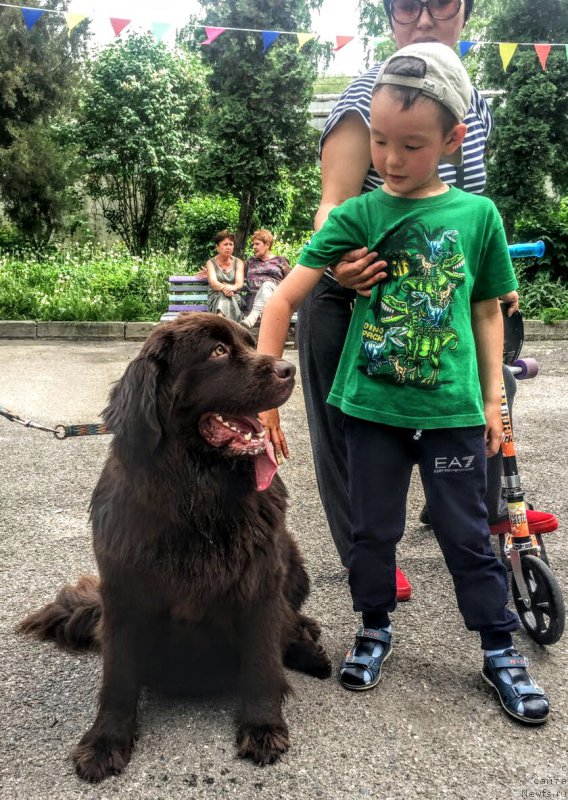 Фотография № 224988