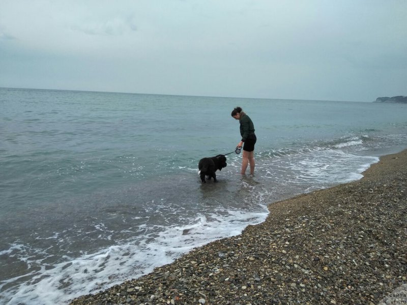 Фотография № 224999