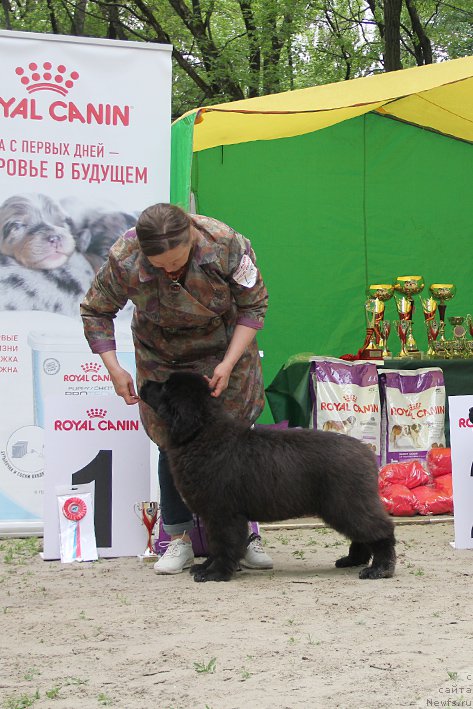 Фотография № 225010