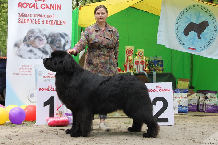 Фотография № 225018