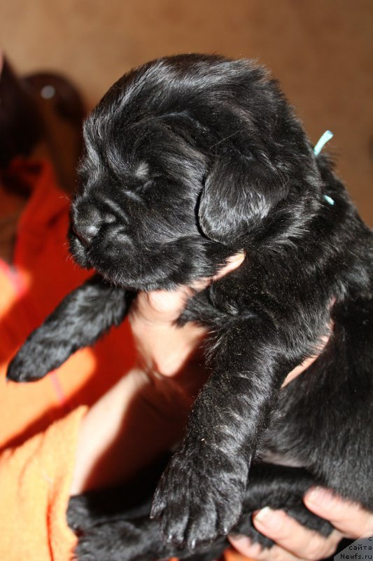 Фотография № 225112