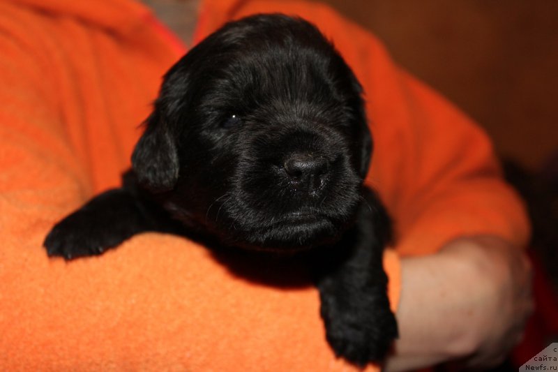 Фотография № 225116