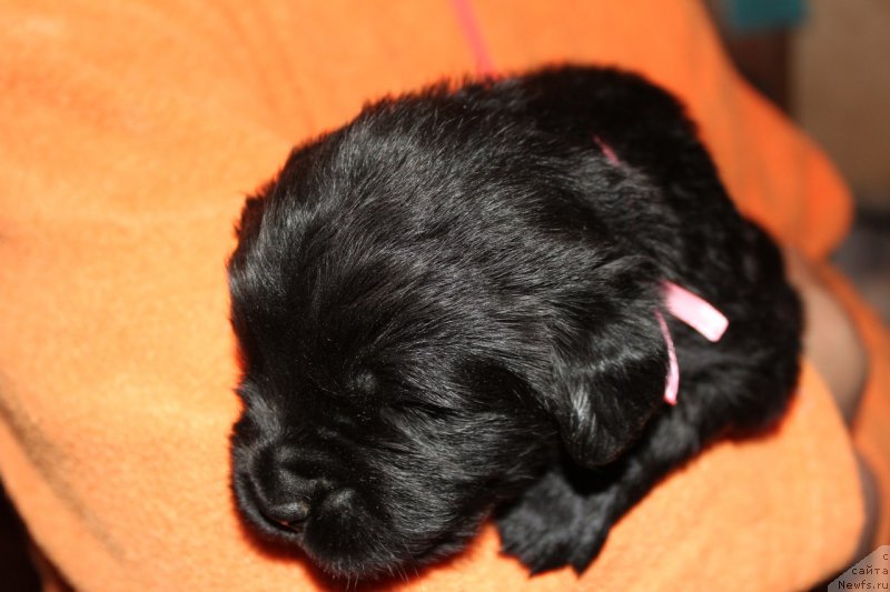 Фотография № 225118