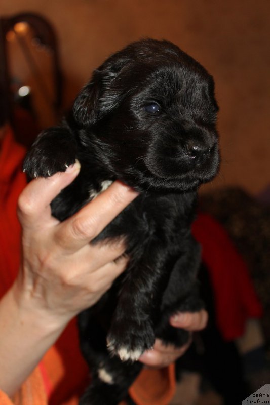 Фотография № 225120