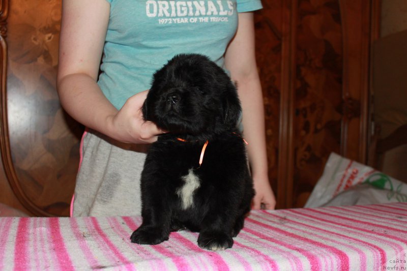 Фотография № 225121