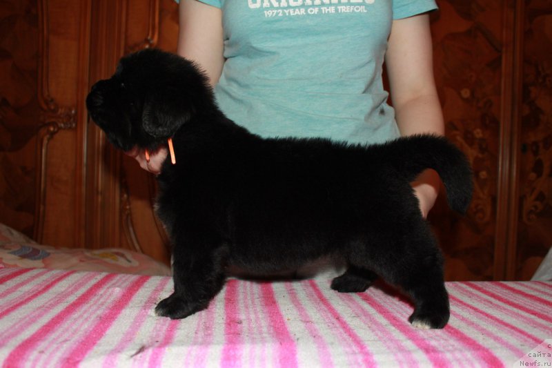 Фотография № 225122