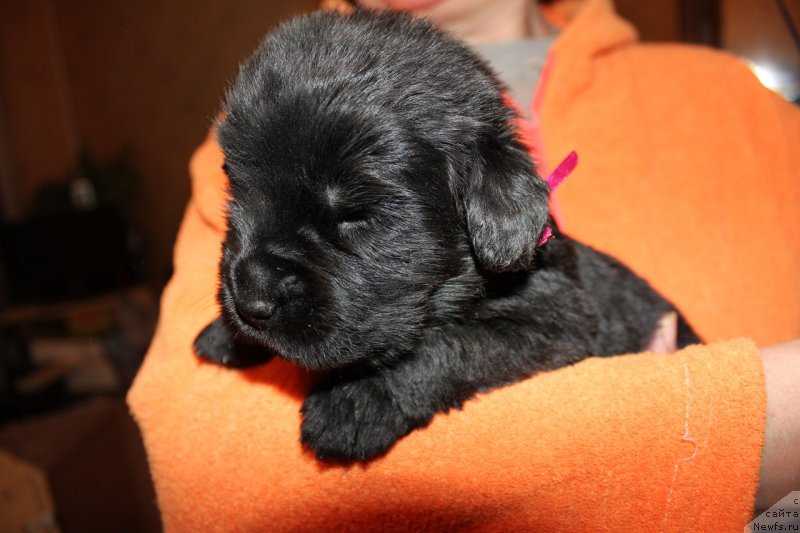 Фотография № 225123