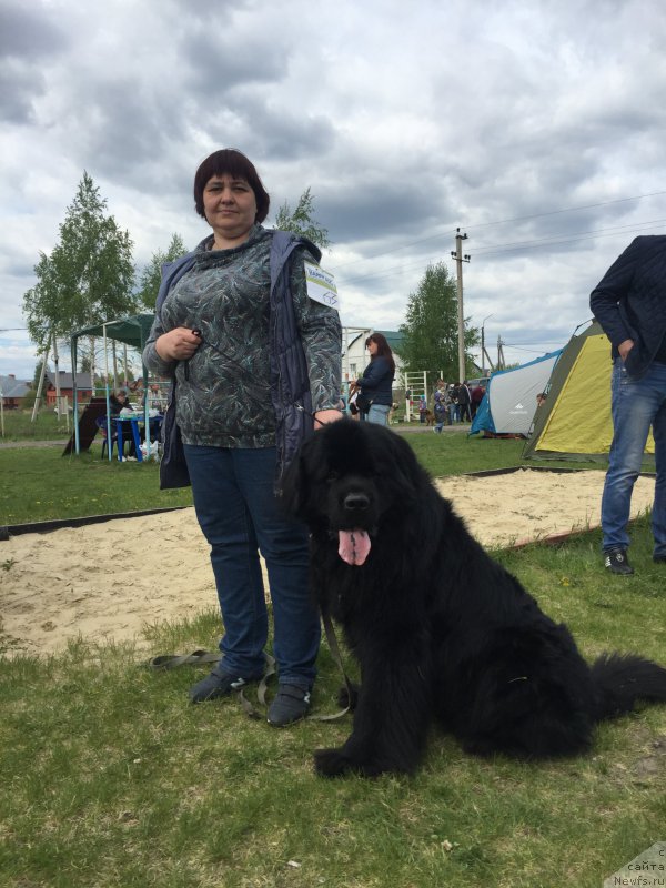 Фотография № 225126