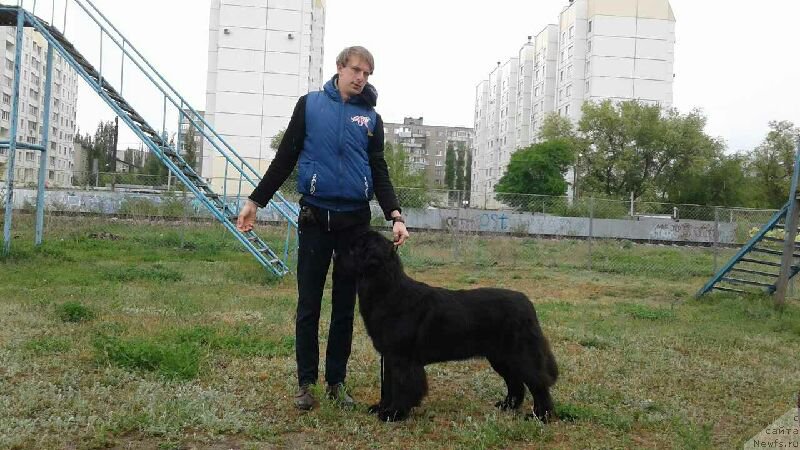 Фотография № 225128