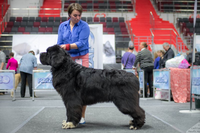 Фотография № 225131