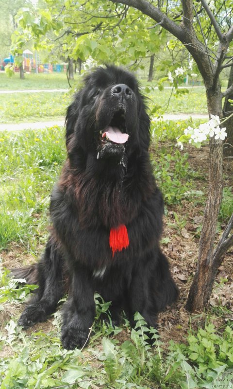 Фотография № 225134