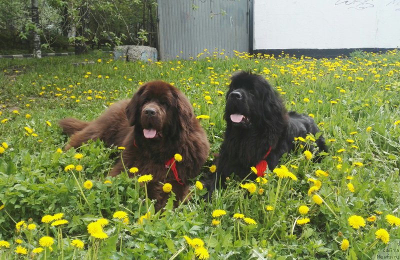 Фотография № 225135