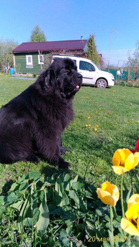 Фотография № 225142