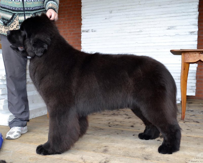 Фотография № 225144