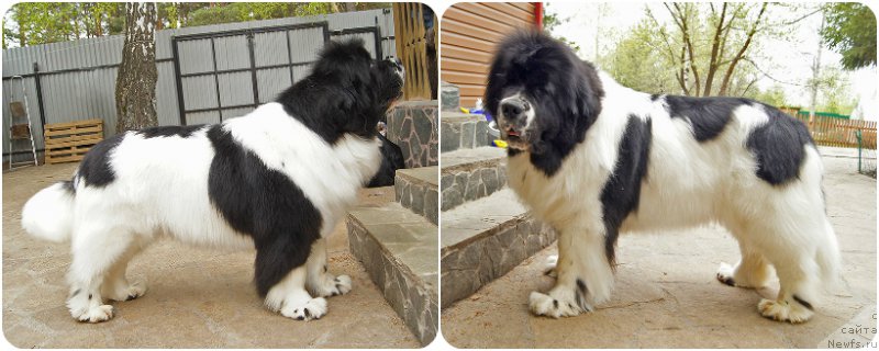 Фотография № 225168